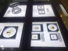 -上海昆虫博物馆