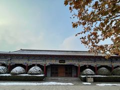 -大悲禅寺