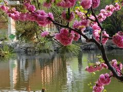 -北京动物园