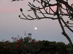 -海神庙