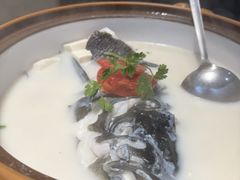 -全乐鱼馆·淳牌有机鱼直营店