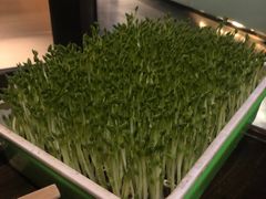 -番食园鲜食火锅(高新店)