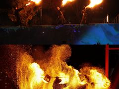 -海合安武汉极地海洋公园