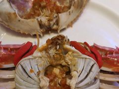 -半岛听涛蒸汽海鲜自助(K11店)