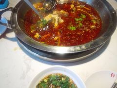 -蜀滋香鲜鱼美蛙火锅(339店)