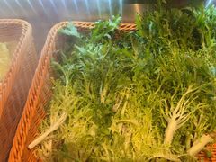 -正禾鲜·潮汕牛肉火锅(凯德天府店)