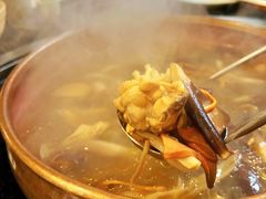 菌菇鸡煲-阿山卓·野生菌火锅·纳西火塘烤肉