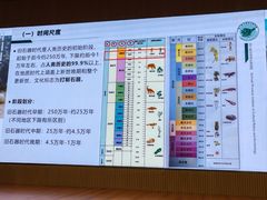 -四川大学博物馆