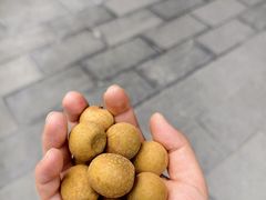-罔极寺