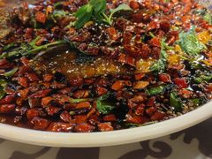 杨记招牌鱼-杨记隆府(时代天街店)
