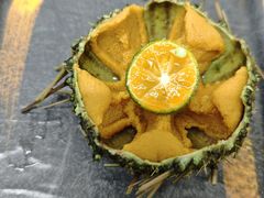 -海胆小馆(东北水饺·春柳店)