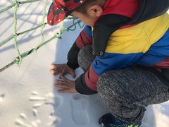 -北京亚布洛尼朝阳公园滑雪场