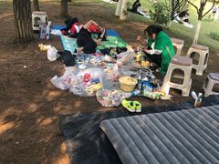 -铁山坪森林公园