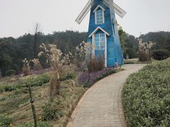 -铁山坪森林公园