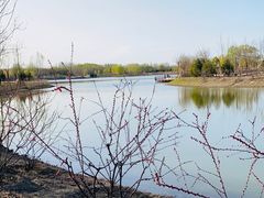 -东郊湿地公园