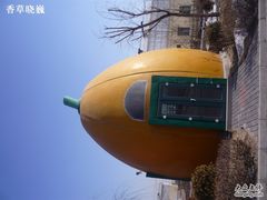 -观光南瓜园