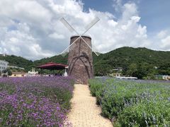 -玫瑰海岸文化旅游度假区