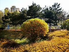 -前关湿地公园