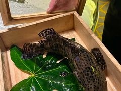 -ONE FULL 古董港式海鲜火锅