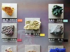 -中国地质博物馆
