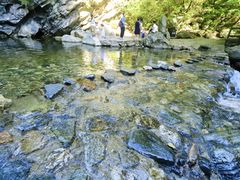 -少华山国家森林公园