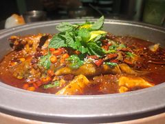 -黔渔翁豆花渎鱼(喷水池店)