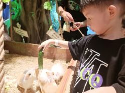 -酷嗒动物文化乐园(cutezoo西溪乐天城店)