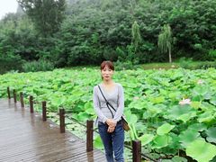 -白鹿原影视城