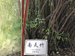 -乌镇东栅景区-茅盾故居