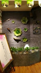 -雅梵伊容·护肤·造型