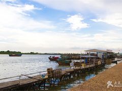 -大湾区中央湿地公园-十九涌