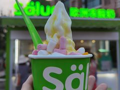 -Salud撒露欧洲冻酸奶(蓝色港湾店)