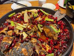 -老板恋上鱼(恒隆广场店)