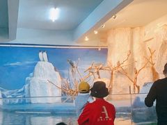 -泉州海丝野生动物世界