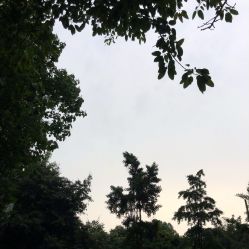 点击看大图 -帆拉斐婚纱摄影(春熙店)