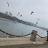 老虎滩