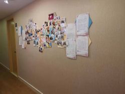 -海豚湾高端月子会所(黄浦店)