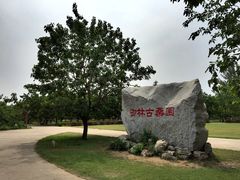 -御林古桑园