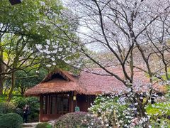 -中国茶叶博物馆(双峰馆区)