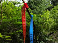 -秦岭风景区