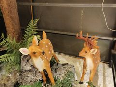 -肖记公安牛肉鱼杂馆· 省级非物质文化遗产(仁和路店)