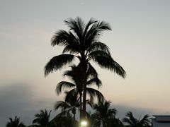 -亚龙湾希尔顿自助餐厅·海鲜·烧烤·沙滩BBQ·现场乐队