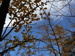 -森林公园(尖草坪区)