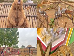 -济南野生动物世界