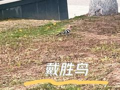 -昆山城市公园