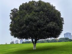 -重庆中央公园(渝北区)