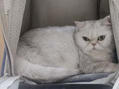 -瑞派康怡24h宠物医院·犬猫医疗中心·微创绝育(瑞景分院)