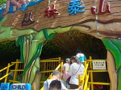 -朝阳公园游乐园