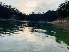 -广州市流溪河国家森林公园