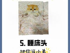 -纳吉亚猫专科动物诊疗中心(蒋宅口分院)